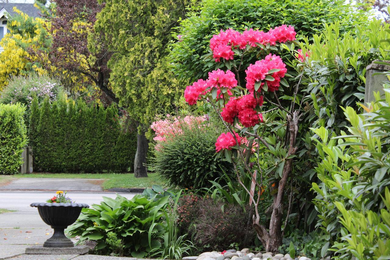 Cartier Guest House Vancouver Buitenkant foto